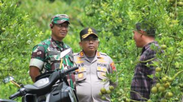 Polres Tanah Karo dan Kodim 0205/TK Kawal Kunjungan Mantan Presiden Jokowi ke Liang Melas Datas