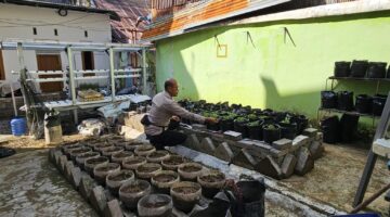 Polres Pelabuhan Makassar Gencarkan Program Ketahanan Pangan, Lahan Sempit Tak Jadi Penghalang